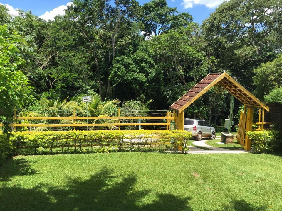 Foto - Campina do Monte Alegre - Zona Rural